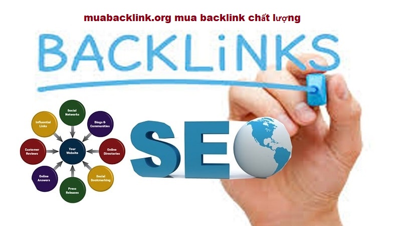 Dịch vụ tăng backlink